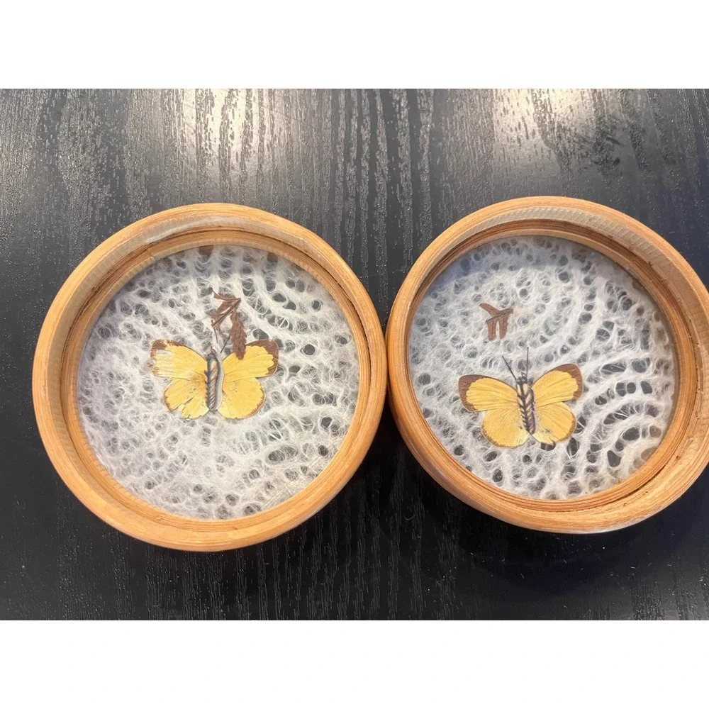 Vintage Bamboo Coasters Set of 6 Real Preserved Butterfly Glass Boho Decor